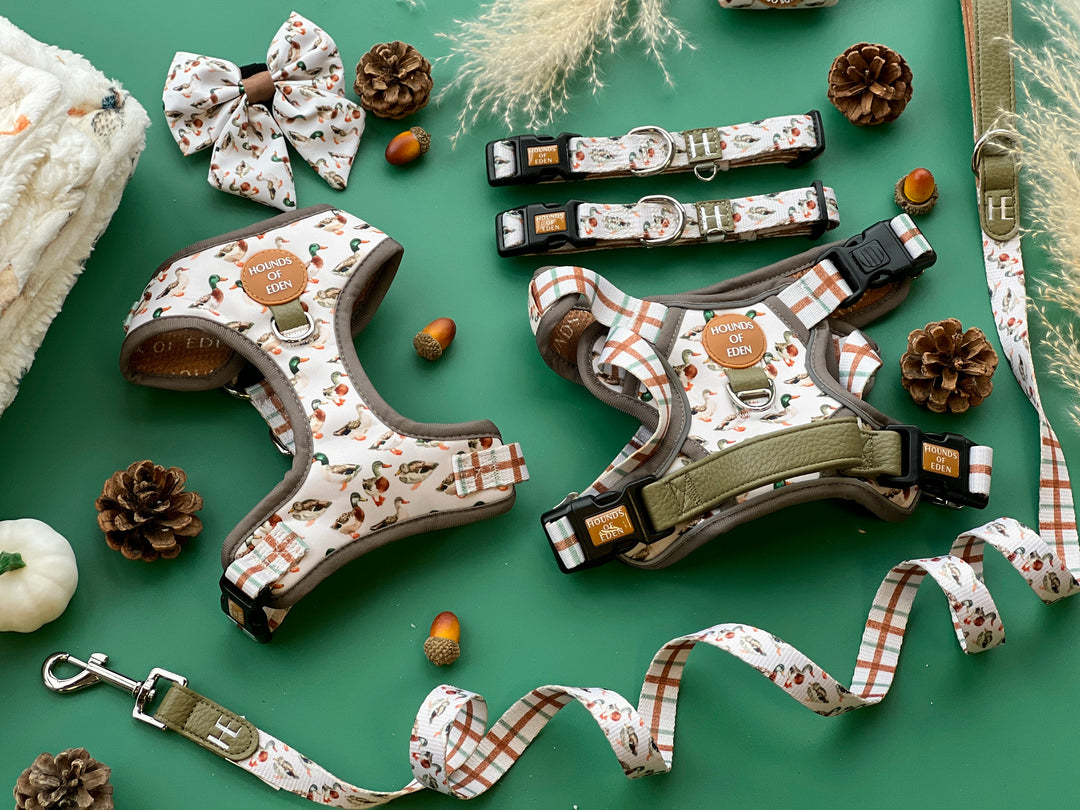 Puddle Ducks - Dog Collar + ID Tag Holder