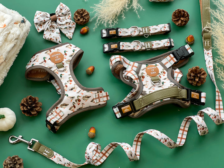 Puddle Ducks - Dog Collar + ID Tag Holder