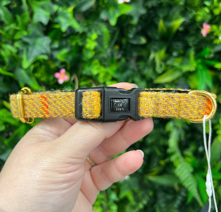 OUTLET- New: Harris Tweed Yellow Plaid Collar, Size XS, Gold, ‘Honey’