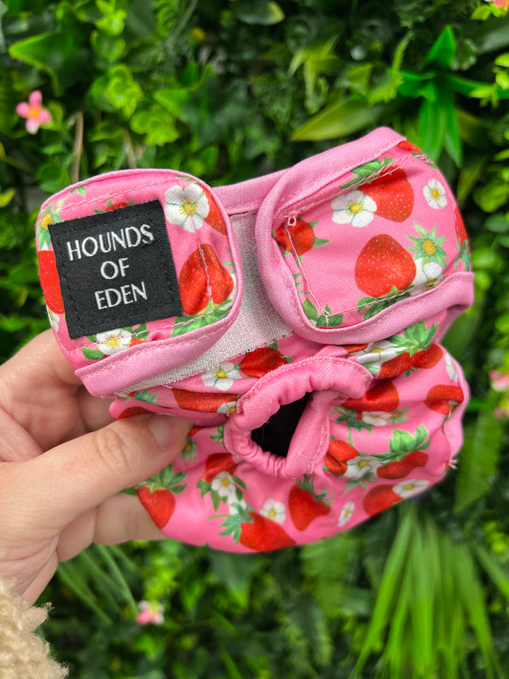 OUTLET - Strawberry Patch Season Pants/ female Incontinence, Size XS