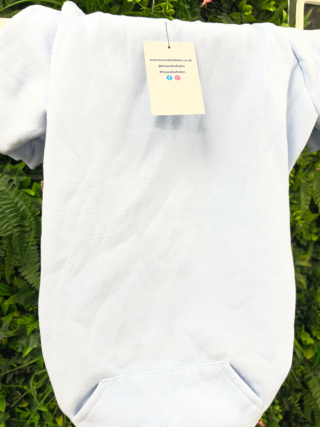 OUTLET- 4XL Dog Hoodie, Sky Blue