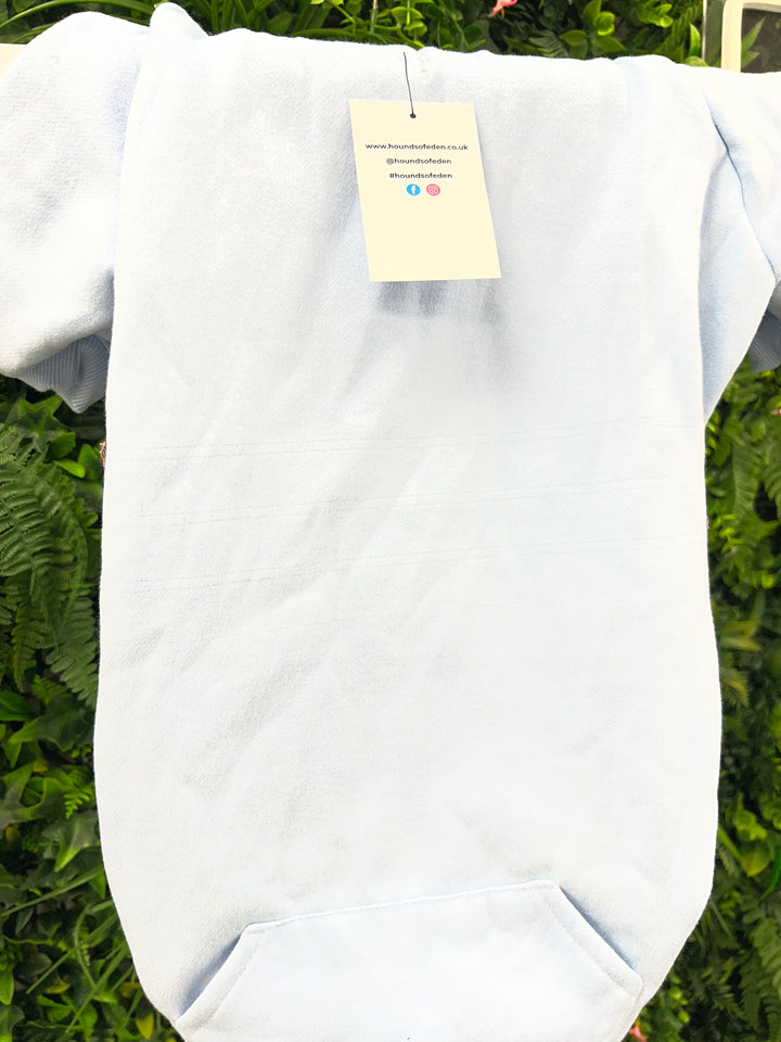 OUTLET- 4XL Dog Hoodie, Sky Blue