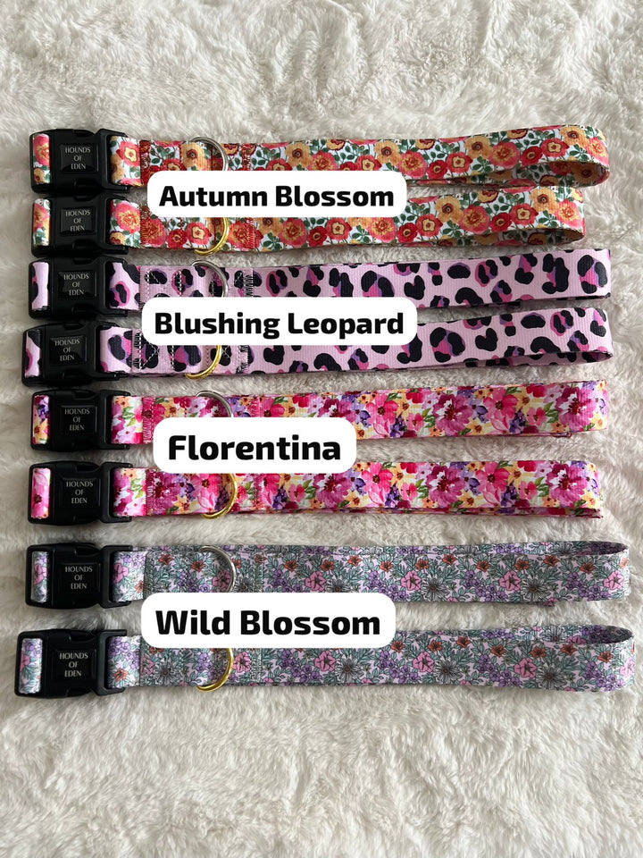 Hands-Free Dog Walking Waist Strap - For use with Ulti-Mate Dog Walking Bag - Silver Hardware