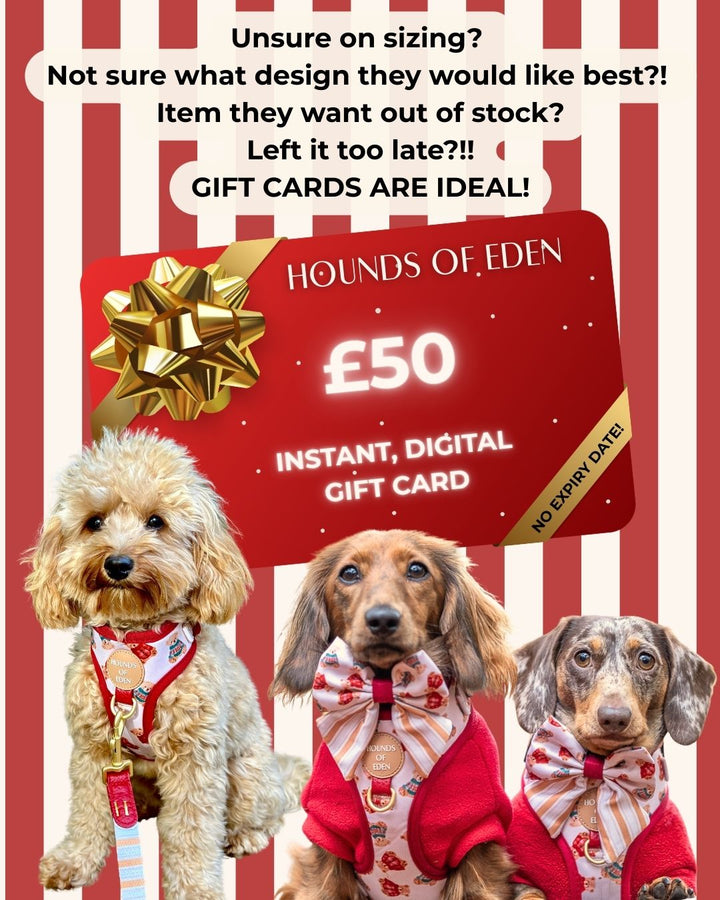 Hounds of Eden Gift Card