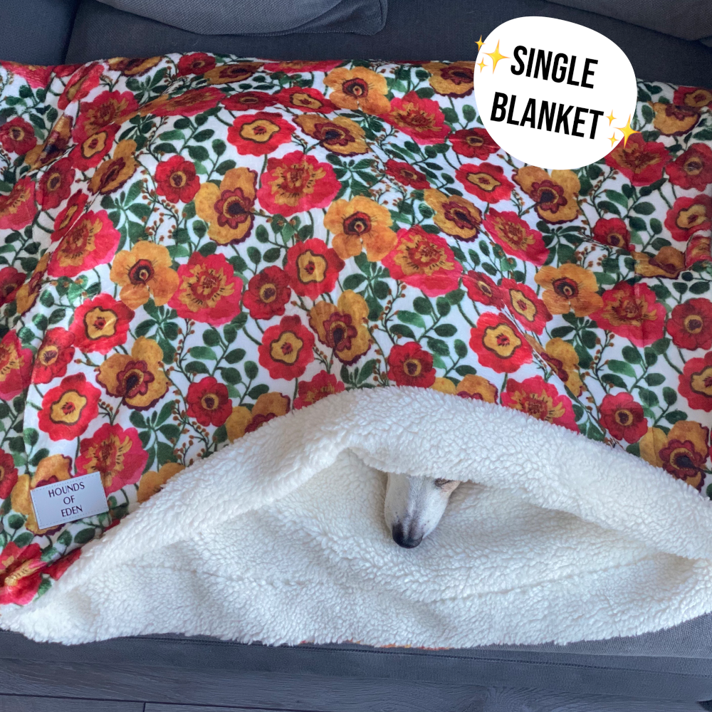 OUTLET - Blushing Leopard Snuggle Blanket