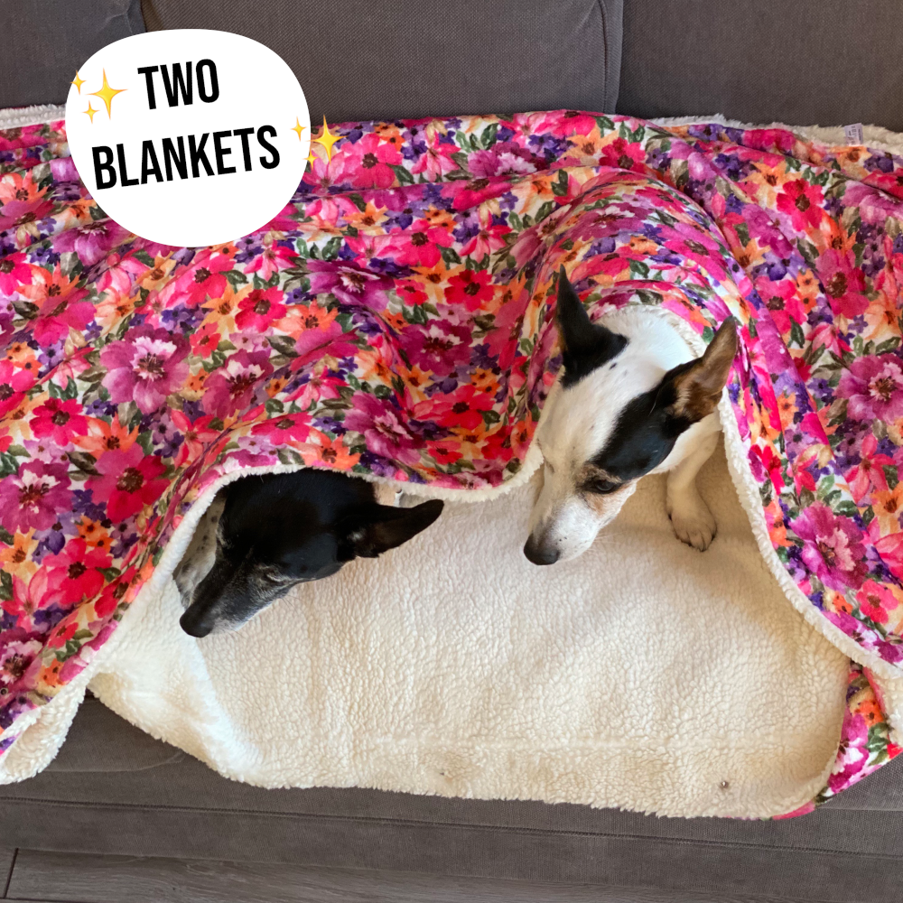 OUTLET - Florentina Snuggle Blanket