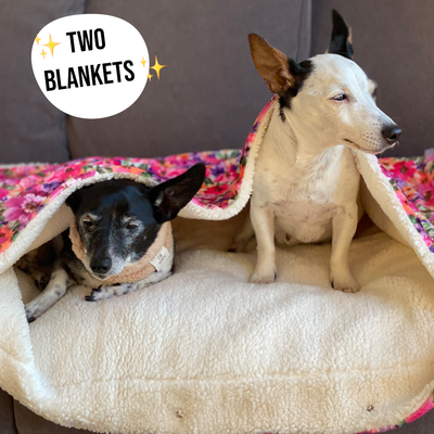 OUTLET - Florentina Snuggle Blanket