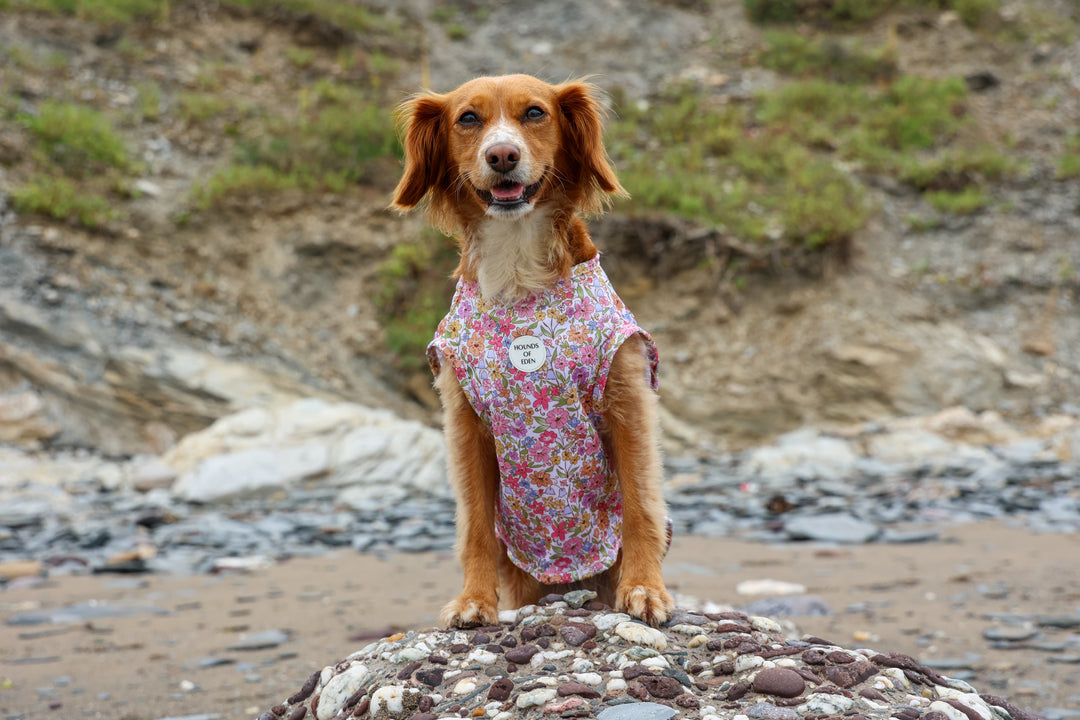 Pastal Petals Dog Cooling Vest
