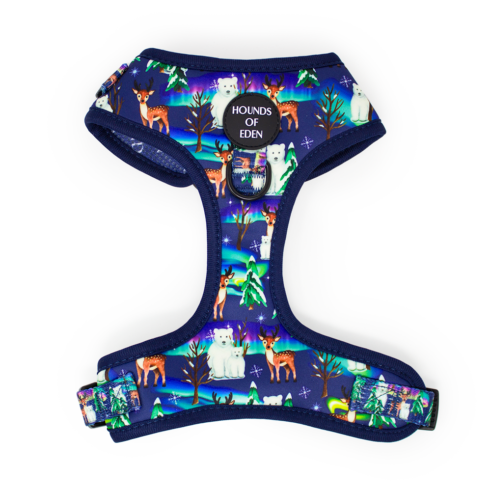 Polar Lights navy polar bear dog harness
