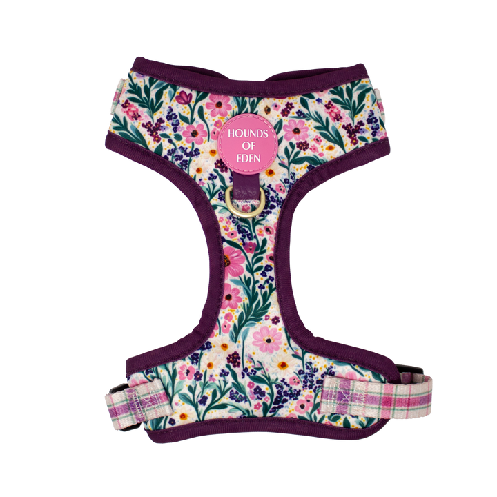 Patchy’s Plum Petals - Dog Harness (XXS-XS)