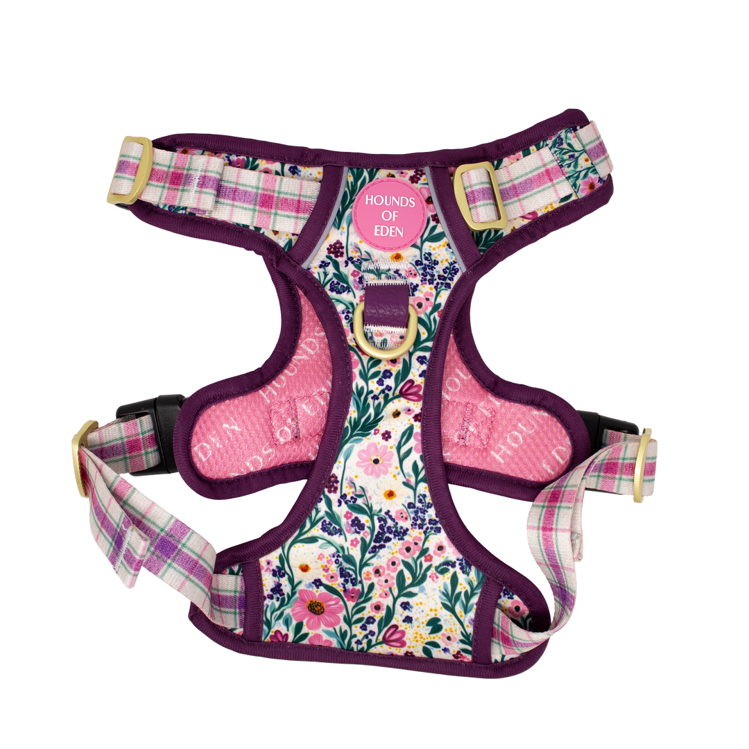 Patchy’s Plum Petals - Dog Collar + ID Tag Holder