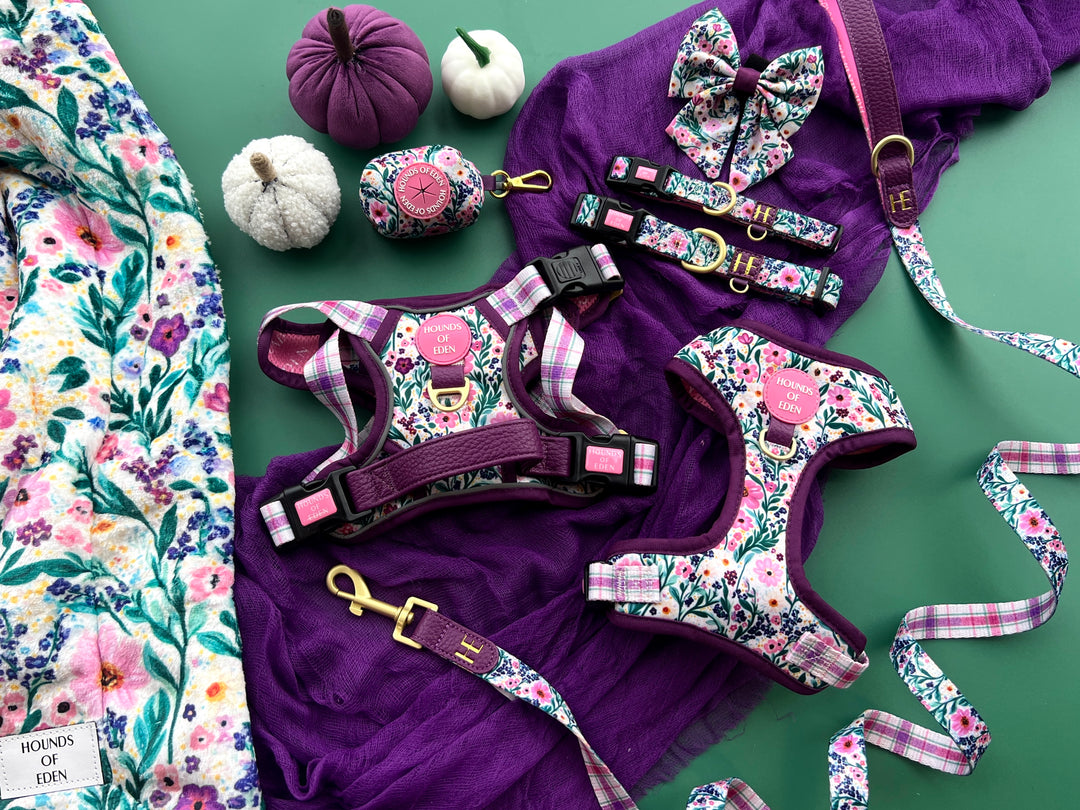 Patchy’s Plum Petals - Dog Harness (XXS-XS)