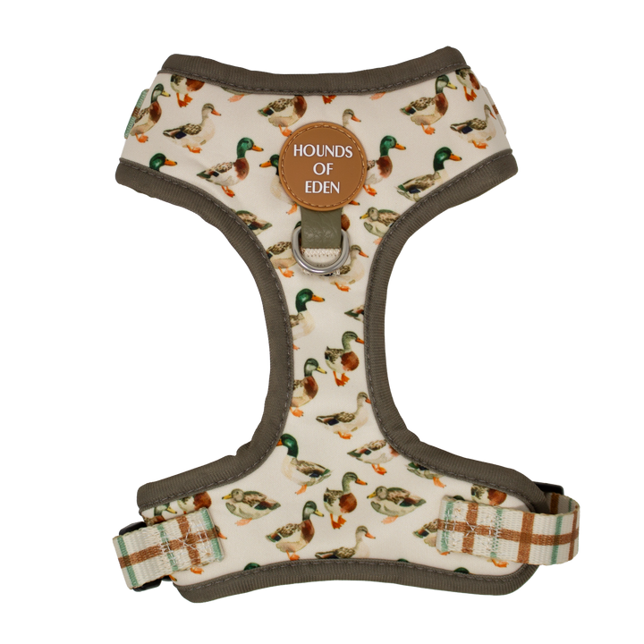 Puddle Ducks - Adjustable Dog Harness (XXS-XS)