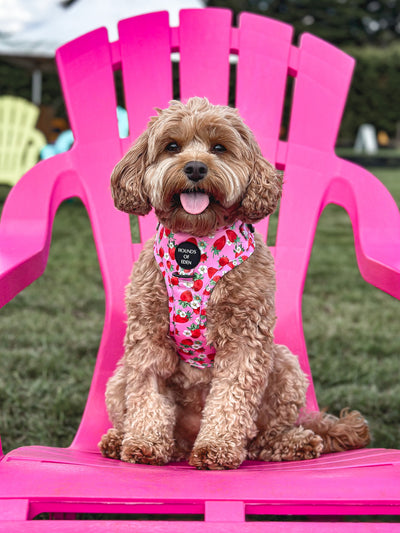 Strawberry Patch Design Poop Bag Holder