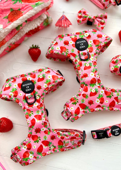 Strawberry Patch Design Dog Lead