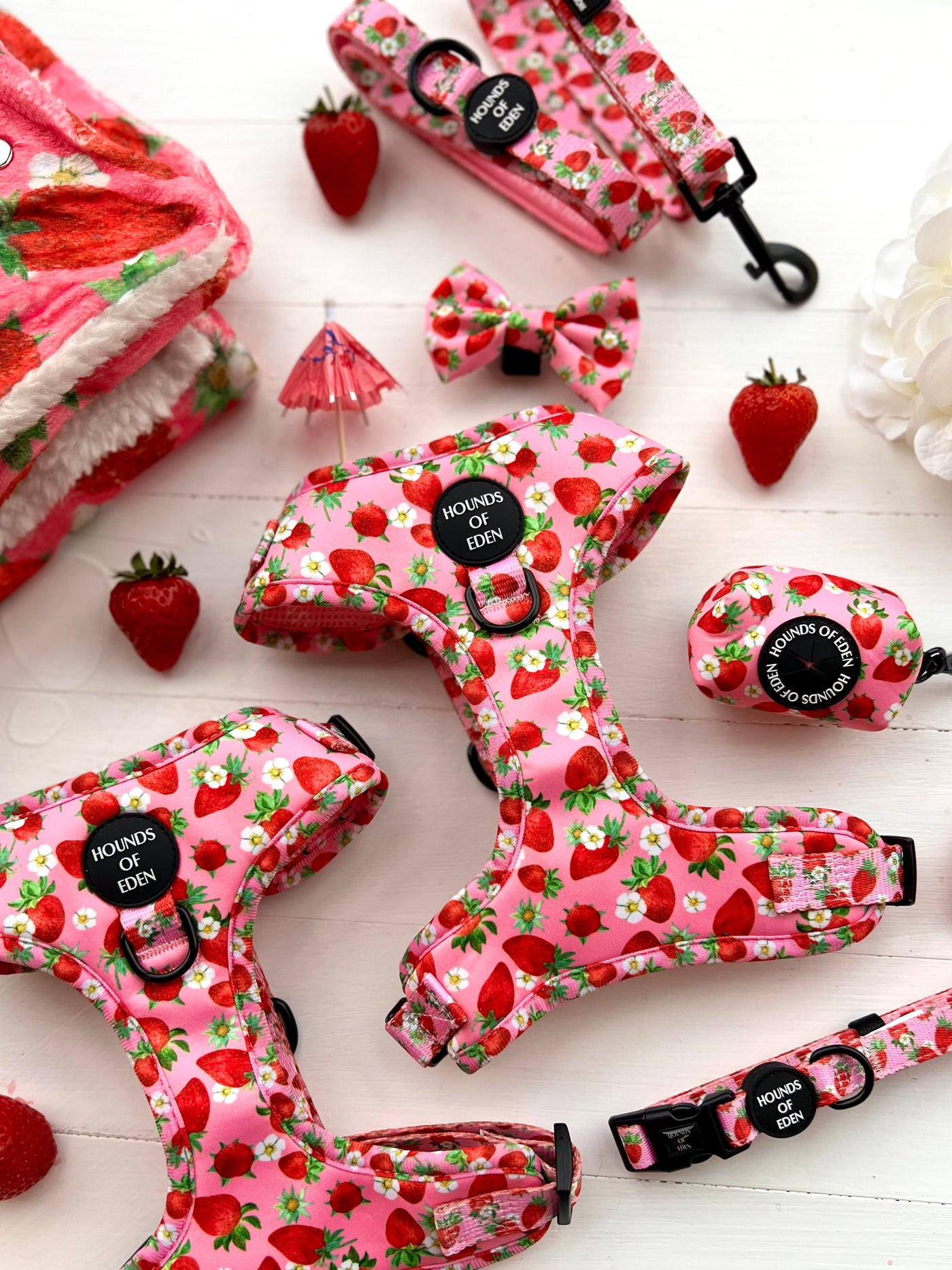 Strawberry Patch Design Poop Bag Holder