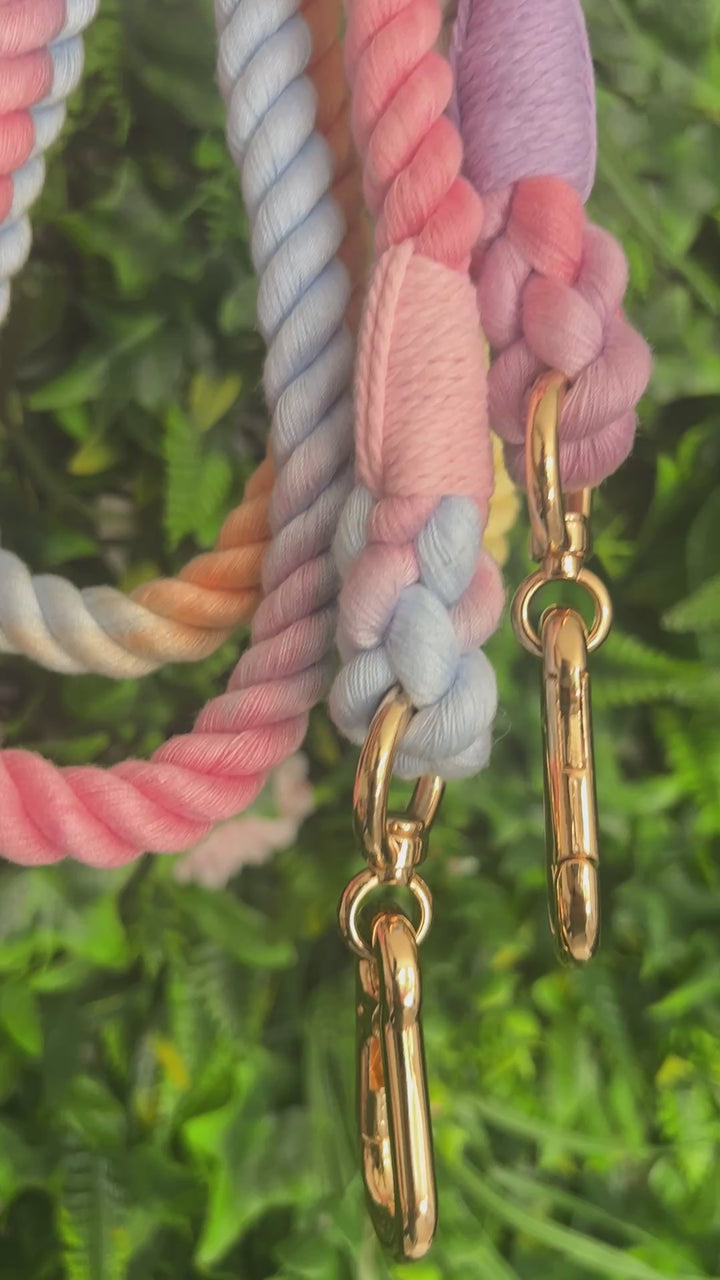 OUTLET- Sample: Ombre Pastel Rainbow Rope training Lead, Double ended Clips, Extra Long, Gold