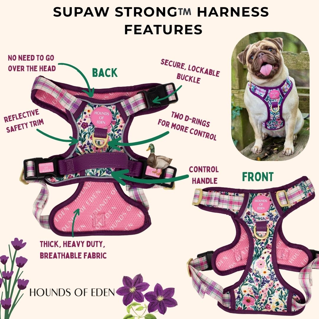 Patchy’s Plum Petals - Supaw Strong™ Dog Harness (XS-XL)