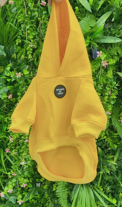 Dog Hoodie - Sunflower Yellow