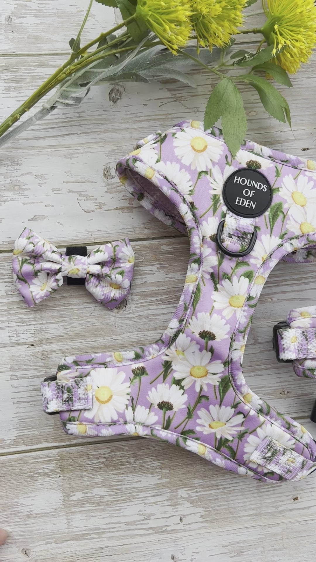 Daisy Dreams Design Dog Harness