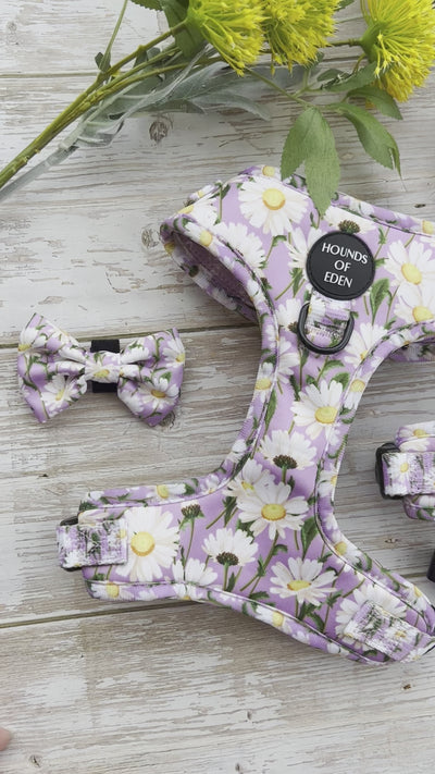 Daisy Dreams Design Dog Harness
