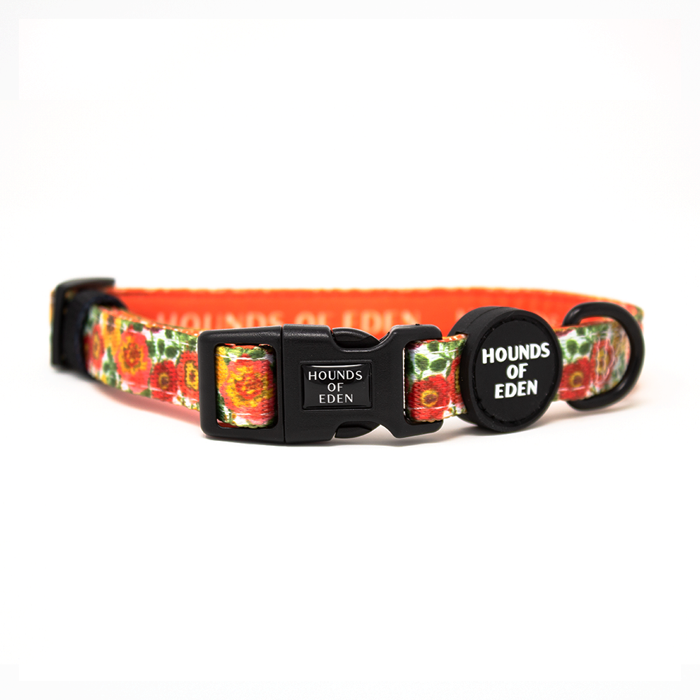 Autumn Blossom - Floral Poppy Dog Collar