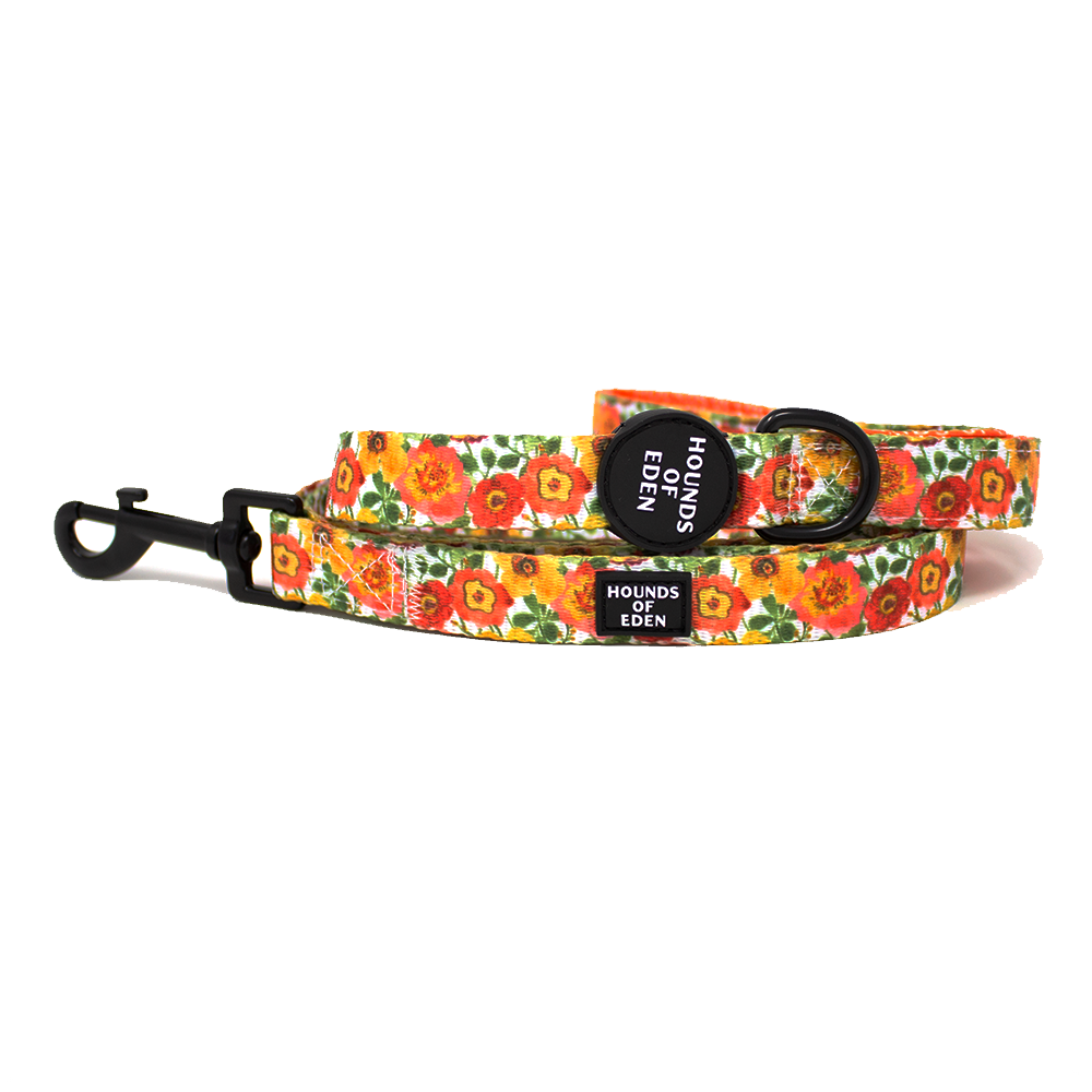 Autumn Blossom - Floral Poppy Dog Lead