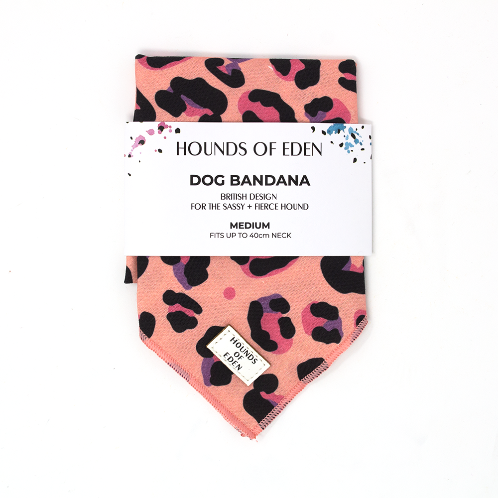 'Blushing Leopard' - Leopard Cotton Dog Bandana