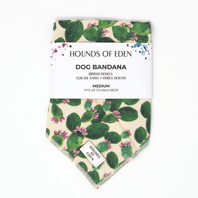 Looking Sharp - Green Cactus and Pink Dog Collar