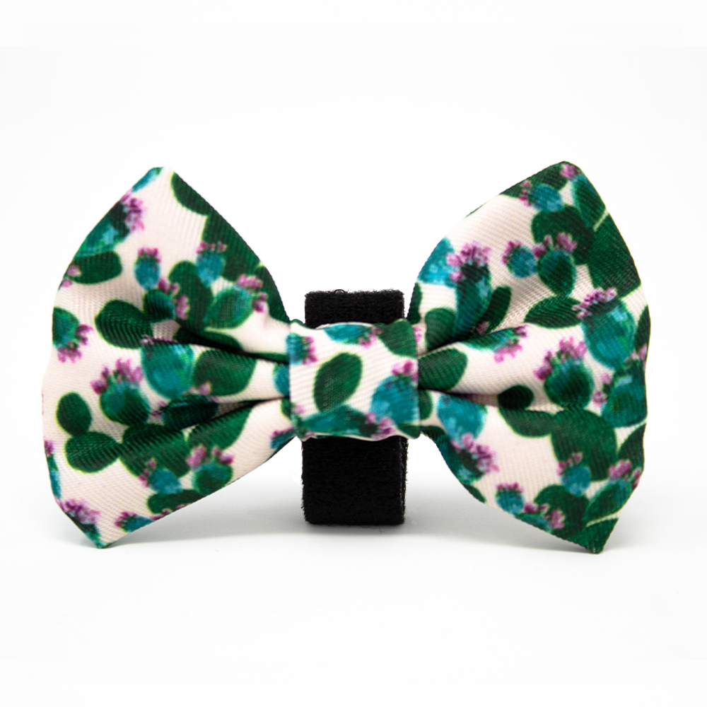 Looking Sharp - Green Cactus and Pink Dog Harness
