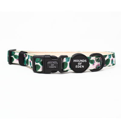 Looking Sharp - Green Cactus and Pink Dog Harness