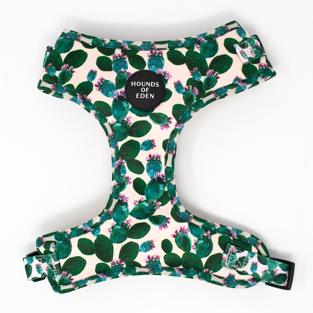 Looking Sharp - Green Cactus and Pink Dog Harness
