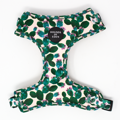 Looking Sharp - Green Cactus and Pink Dog Collar