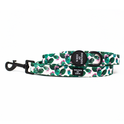 Looking Sharp - Green Cactus and Pink Dog Harness