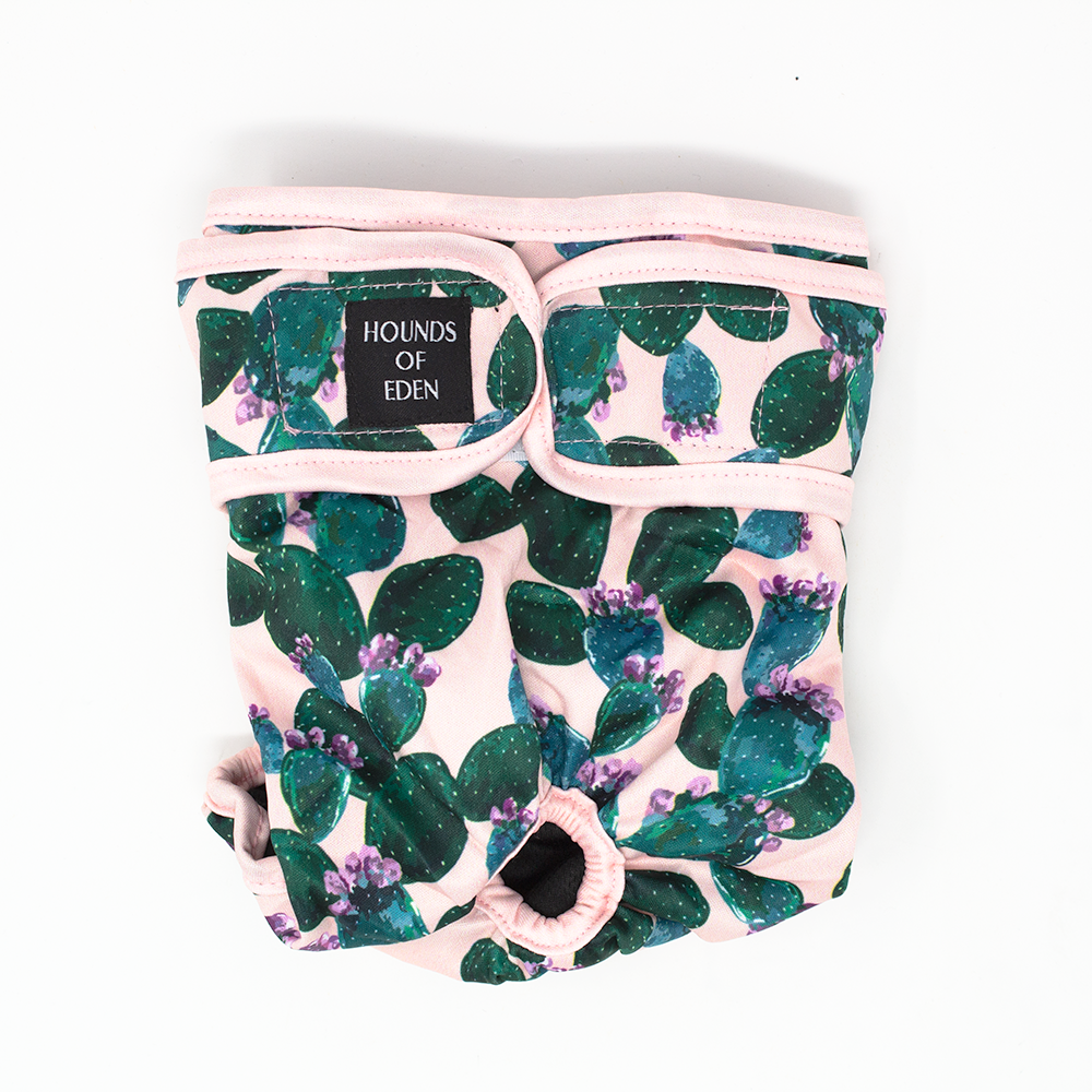 'Looking Sharp' - Dog Season Hygiene Panties