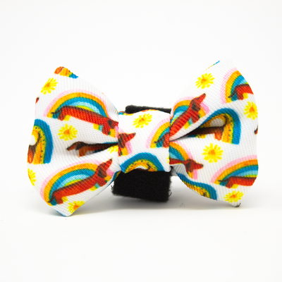 Sizzlin’ Sausages - Dachshund Reversible Dog Harness