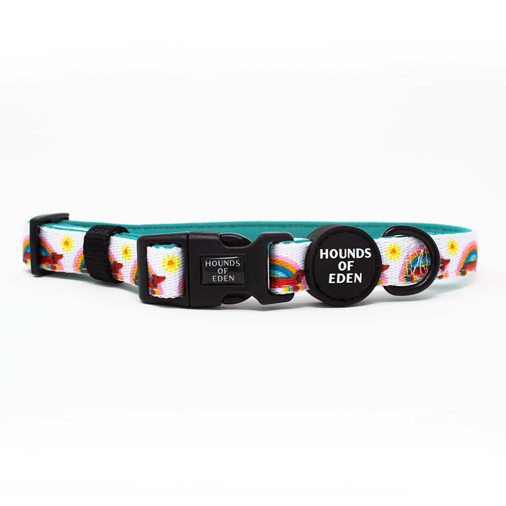 Sizzlin’ Sausages - Dachshund Dog Collar