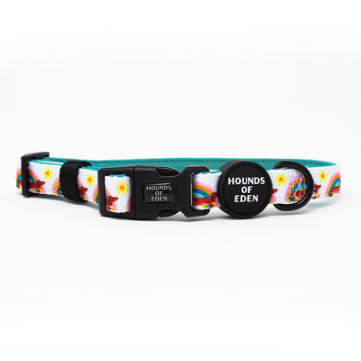Sizzlin’ Sausages - Dachshund Dog Collar