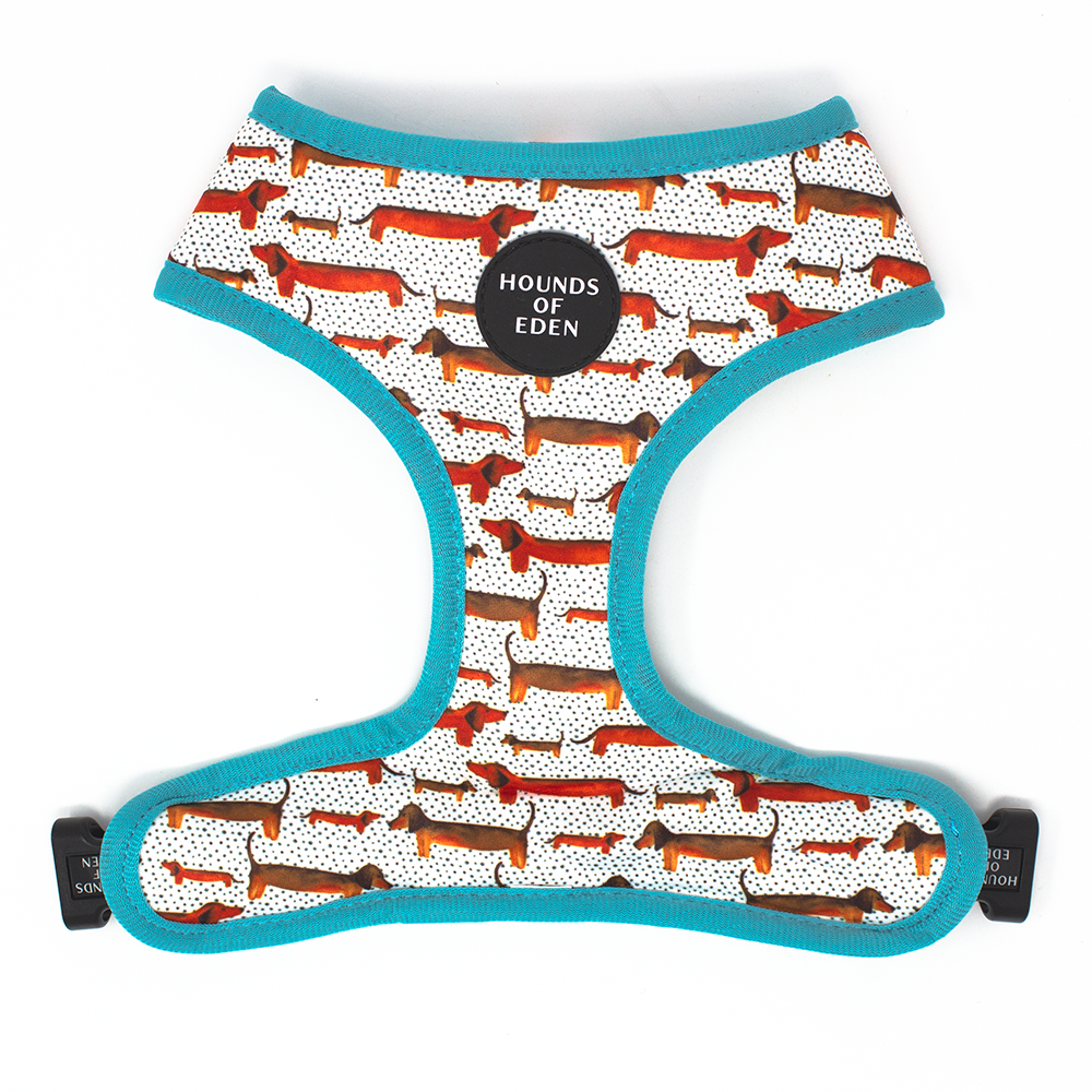 Sizzlin’ Sausages - Dachshund Dog Collar