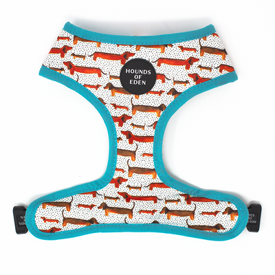 Sizzlin’ Sausages - Dachshund Dog Collar