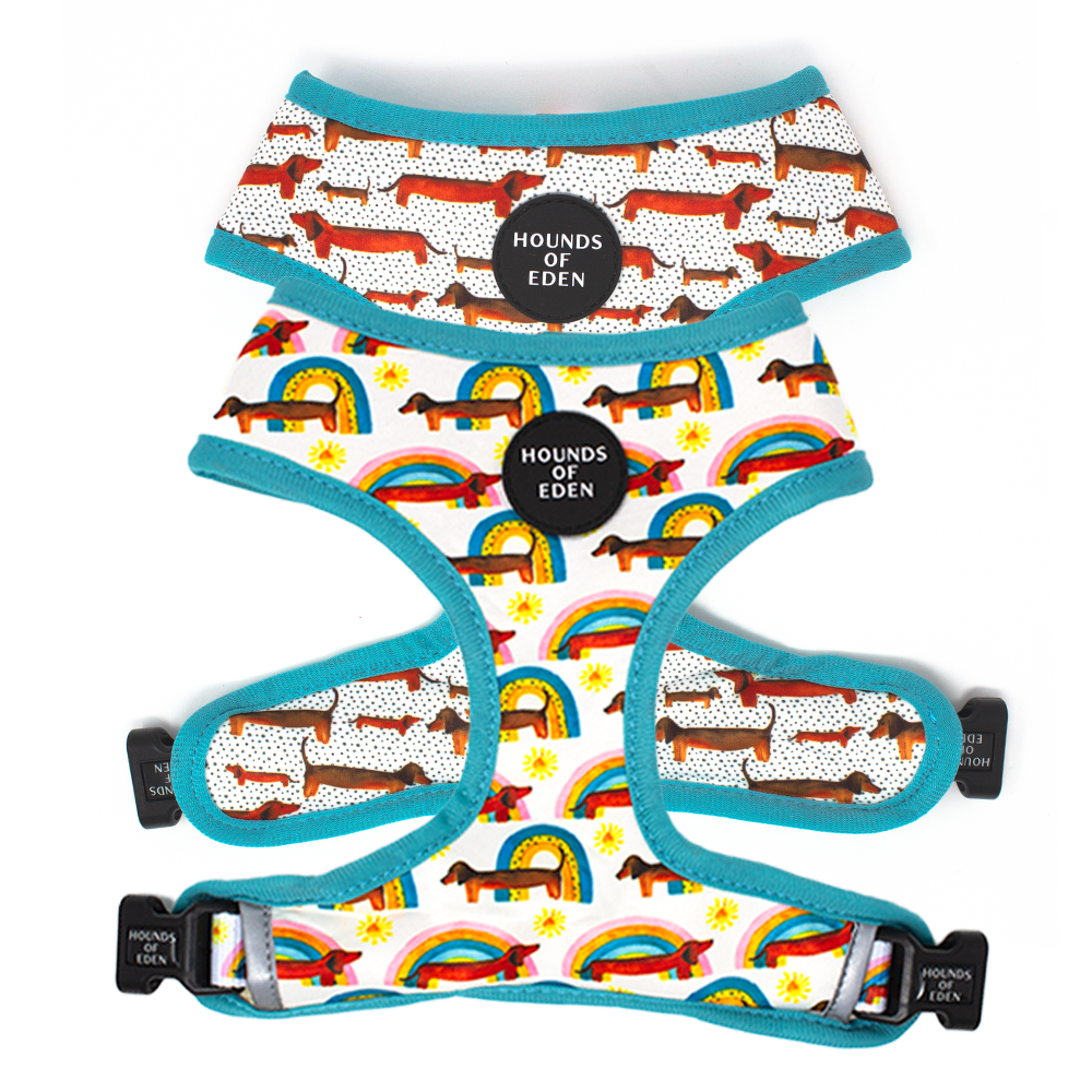 Sizzlin’ Sausages - Dachshund Dog Collar