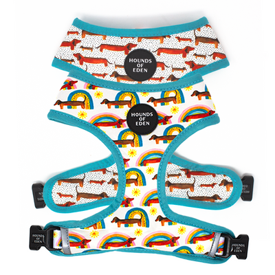 Sizzlin’ Sausages - Dachshund Dog Collar