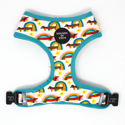 Sizzlin’ Sausages - Dachshund Dog Collar