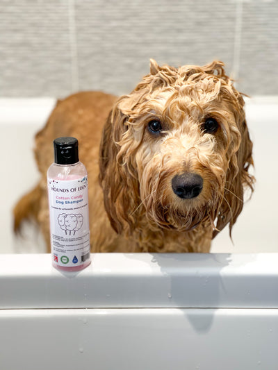 Cotton Candy Pink Dog Shampoo