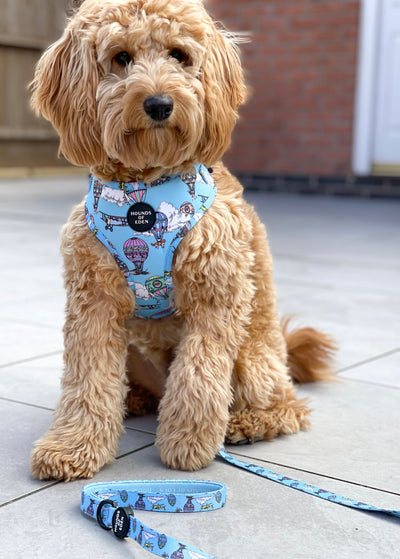 'Up, Pupilot up!' - Hot air Balloon + Plane Dog Harness