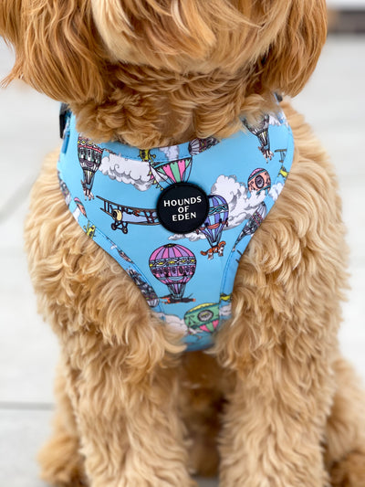 'Up, Pupilot up!' - Hot air Balloon + Plane Dog Harness