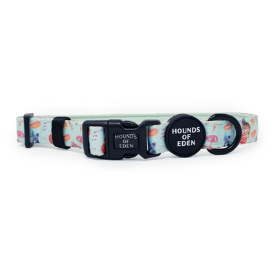 CIRCUS PUP - Dog Harness