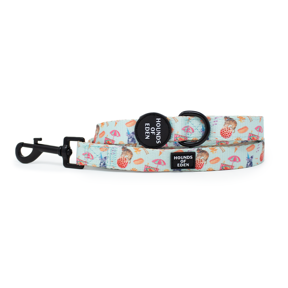 CIRCUS PUP - Dog Lead