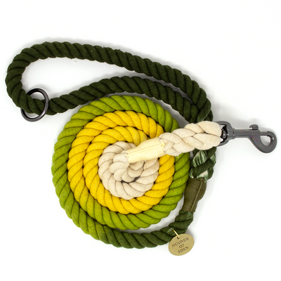 Ombre Green & Yellow Cotton Rope Dog Lead