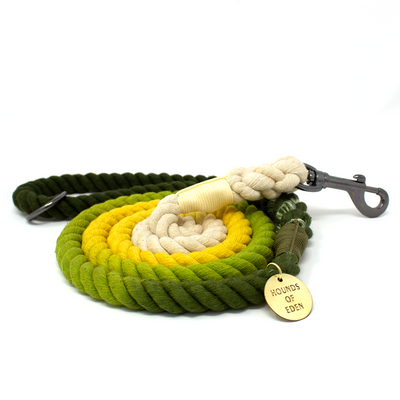 Ombre Green & Yellow Cotton Rope Dog Lead